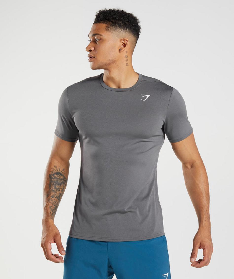 T Shirts Męskie Gymshark Arrival Szare | PL 3801LIS